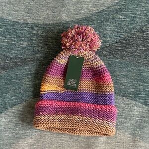 NWT Wild Fable Multi Colored Cozy Knitting Hat